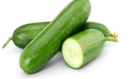 nutrition-1140x726 nutrition-1140x726